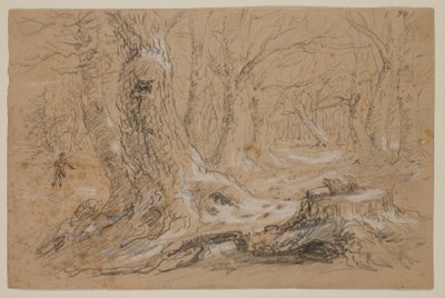 Bomen in de winter met man staand op bevroren beek door Thomas Cole