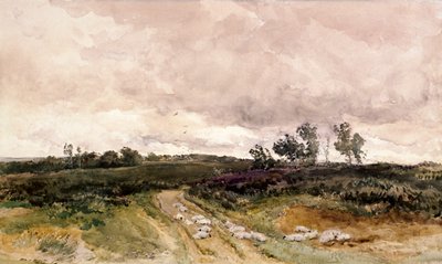 Heidescène, 1878 door Thomas Collier