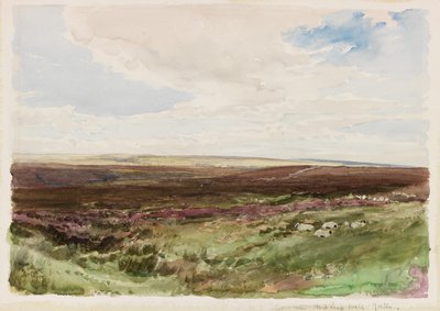 Heide nabij Hart Leap Well, Yorkshire door Thomas Collier