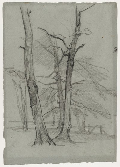 Landschapsstudie met bomen, c. 1870-1875 door Thomas Couture
