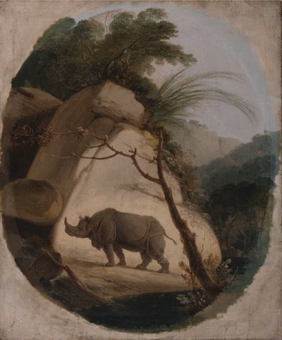 De Indische Neushoorn door Thomas Daniell