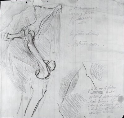 Anatomische Tekening, ca. 1878 door Thomas Eakins