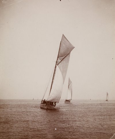 [Zeilboten] door Thomas Eakins