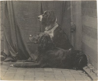 [Thomas Eakins