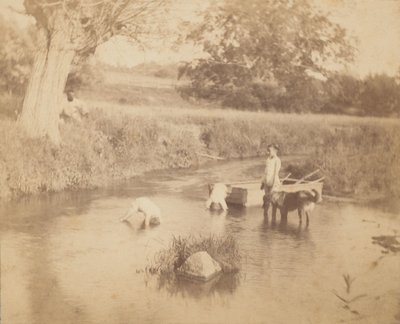 Drie kinderen en een hond spelen in de kreek door Thomas Eakins