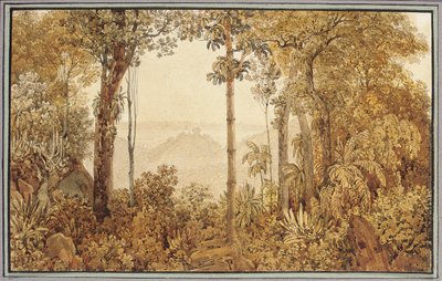 Uitzicht over Rio de Janeiro vanuit het Tijuca-bos door Thomas Ender