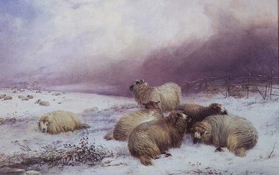 Een winterlandschap met schapen door Thomas Francis Wainewright