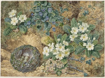 Stilleven van een vogelnestje, viooltjes, primula