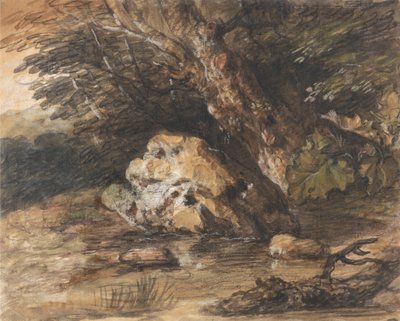 Een bosvijver met rotsen en planten door Thomas Gainsborough