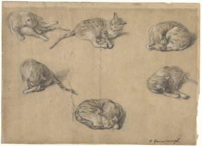 Zes studies van een kat door Thomas Gainsborough