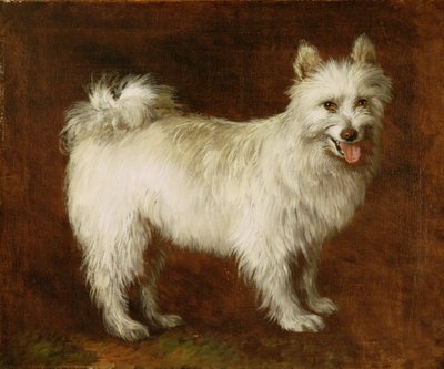 Spitzhond, ca. 1760-70 door Thomas Gainsborough