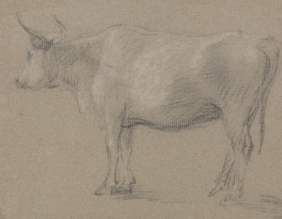 Studie van een Koe door Thomas Gainsborough
