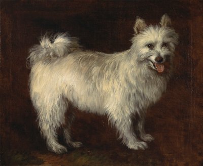 Spitzhond door Thomas Gainsborough RA