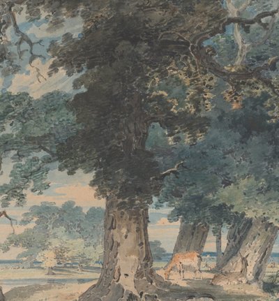 Herten in Windsor Forest, 1793-94 door Thomas Girtin