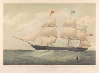 Het klipperschip 