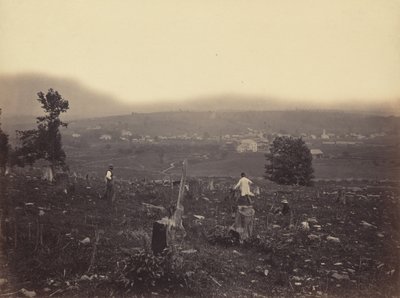 Waymart, Del. & Hudson Canal Co., ca. 1863-1865 door Thomas H. Johnson