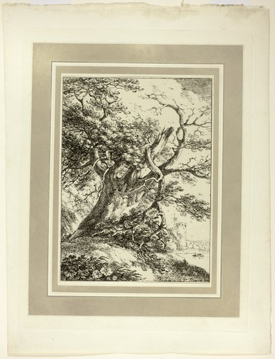 Oude Boom, uit de eerste uitgave van Specimens of Polyautography door Thomas Hearne