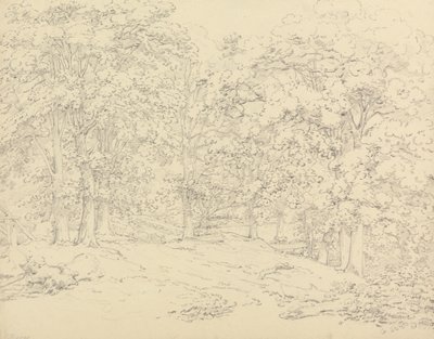 Bomen in Ashtead Park, Surrey door Thomas Hearne