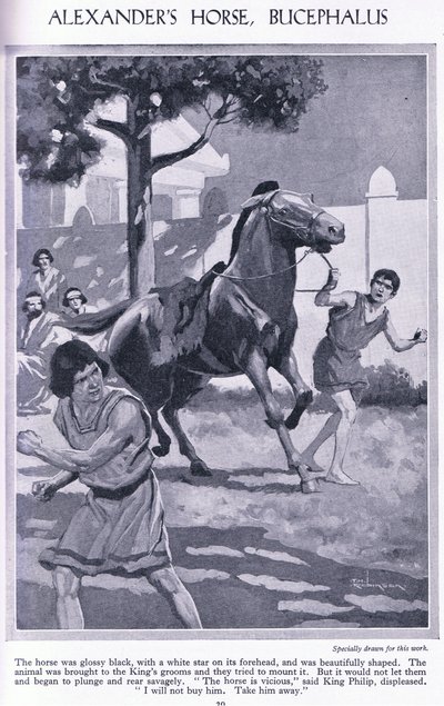 Alexanders paard, Bucephalus: het paard was glanzend zwart met een witte ster op zijn voorhoofd, ca 1950 (litho) door Thomas Heath Robinson