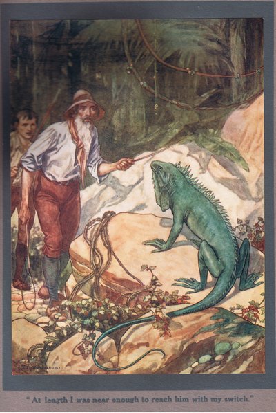 Uiteindelijk was ik dichtbij genoeg om hem te bereiken met mijn schakelaar (kleurenlitho) door Thomas Heath Robinson