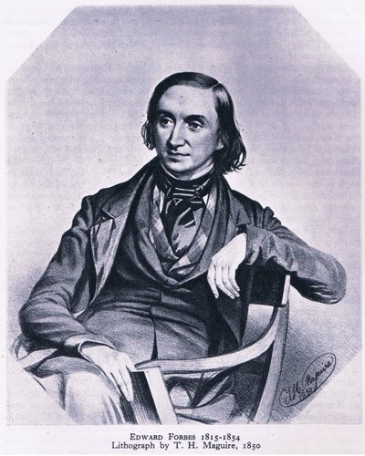 Edward Forbes (1815-1854), Natuur in Groot-Brittannië uitgegeven door Collins, 1946 door Thomas Herbert Maguire