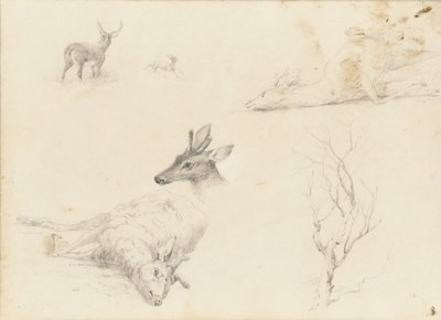 Schetsboek van landschap- en dieronderwerpen, 1860-64 door Thomas Hewes Hinckley
