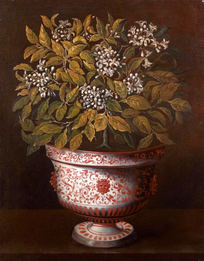 Terracotta vaas met een bloeiende oranjeboom door Thomas Hiepes