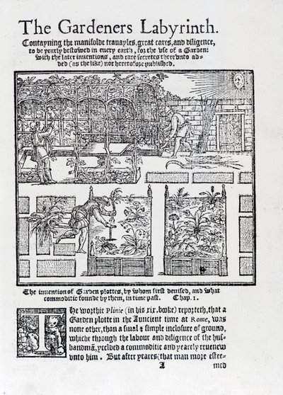 Prieel gebouwd als schaduw tegen de zon en planten in verhoogde bedden, uit The Gardeners Labyrinth, 1577 door Thomas Hill