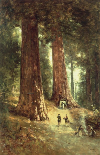 In de Redwoods, 1899 door Thomas Hill