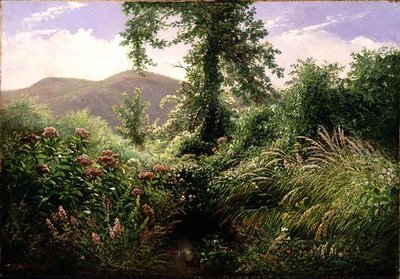 Catskill Bergen, Shandaken, New York door Thomas Hiram Hotchkiss