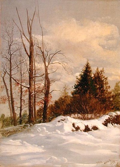 Catskill Winterlandschap door Thomas Hiram Hotchkiss