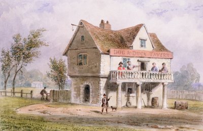 Een uitzicht op de Old Dog and Duck, St. George