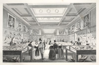 British Museum, Zoologische Galerij, uit 