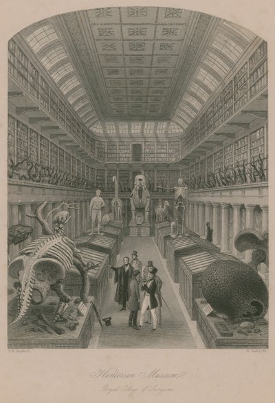 Hunterian Museum, Royal College of Surgeons, Londen door Thomas Hosmer Shepherd