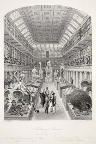 Hunterian Museum, Royal College of Surgeons, uit 
