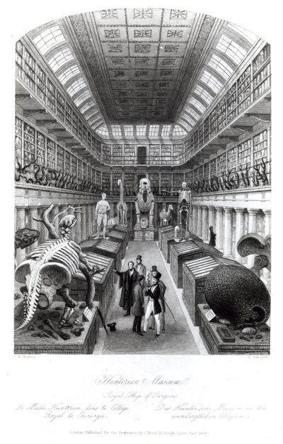 Het Hunterian Museum, illustratie voor 