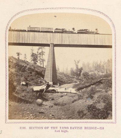 Gedeelte van de Long Ravine Bridge door Thomas Houseworth