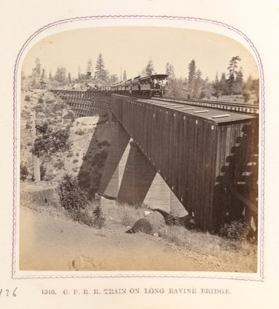 Trein op Long Ravine Bridge door Thomas Houseworth