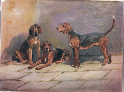 Honden, illustratie uit 