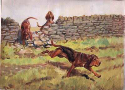 Over de muur, illustratie uit 