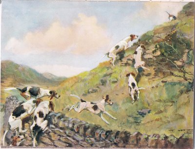 Over de Muur Klauteren, illustratie uit 