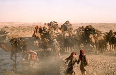 Stamkinderen met kameelkaravaan, kuchi karavanen, gepauzeerd bij irrigatiesloot door Thomas J. Abercrombie