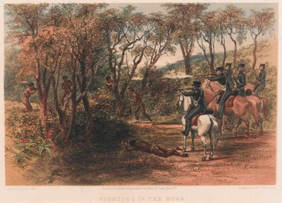 Gevecht in de Bush, 8e Kaapse Grensoorlog door Thomas J. Lucas