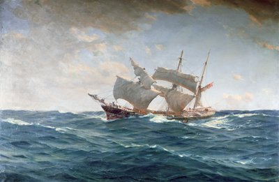 De Kreupele Eend door Thomas J. Somerscales