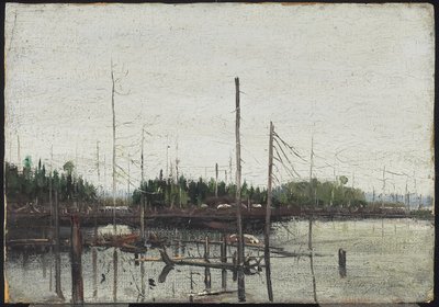 Verdronken Land door Tom Thomson
