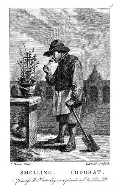 Tuinman die aan een anjer of roze Dianthus ruikt, ca. 1750 door Thomas Kitchin