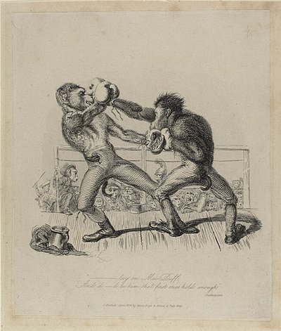 Apen Boksen, van Monkey-ana door Thomas Landseer