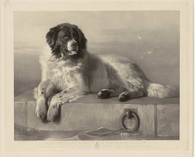 Portret van de reddingshond Bob, liggend op een pier door Thomas Landseer