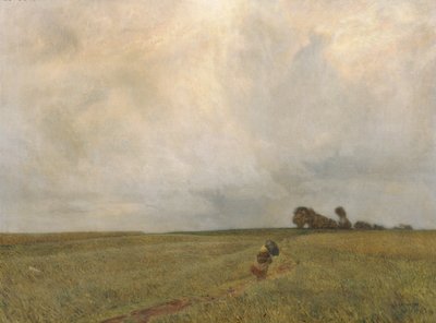 Storm en Regen door Thomas Leitner