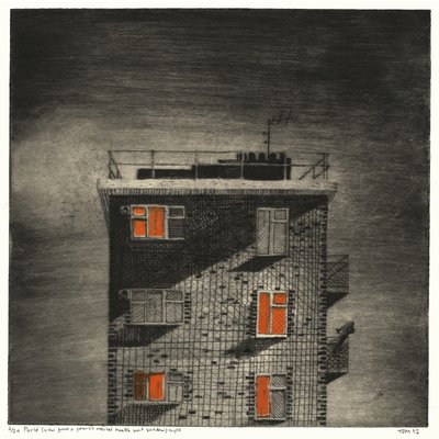 Parlé (zicht vanuit een forensische psychiatrische eenheid raam (nacht)) door Thomas MacGregor